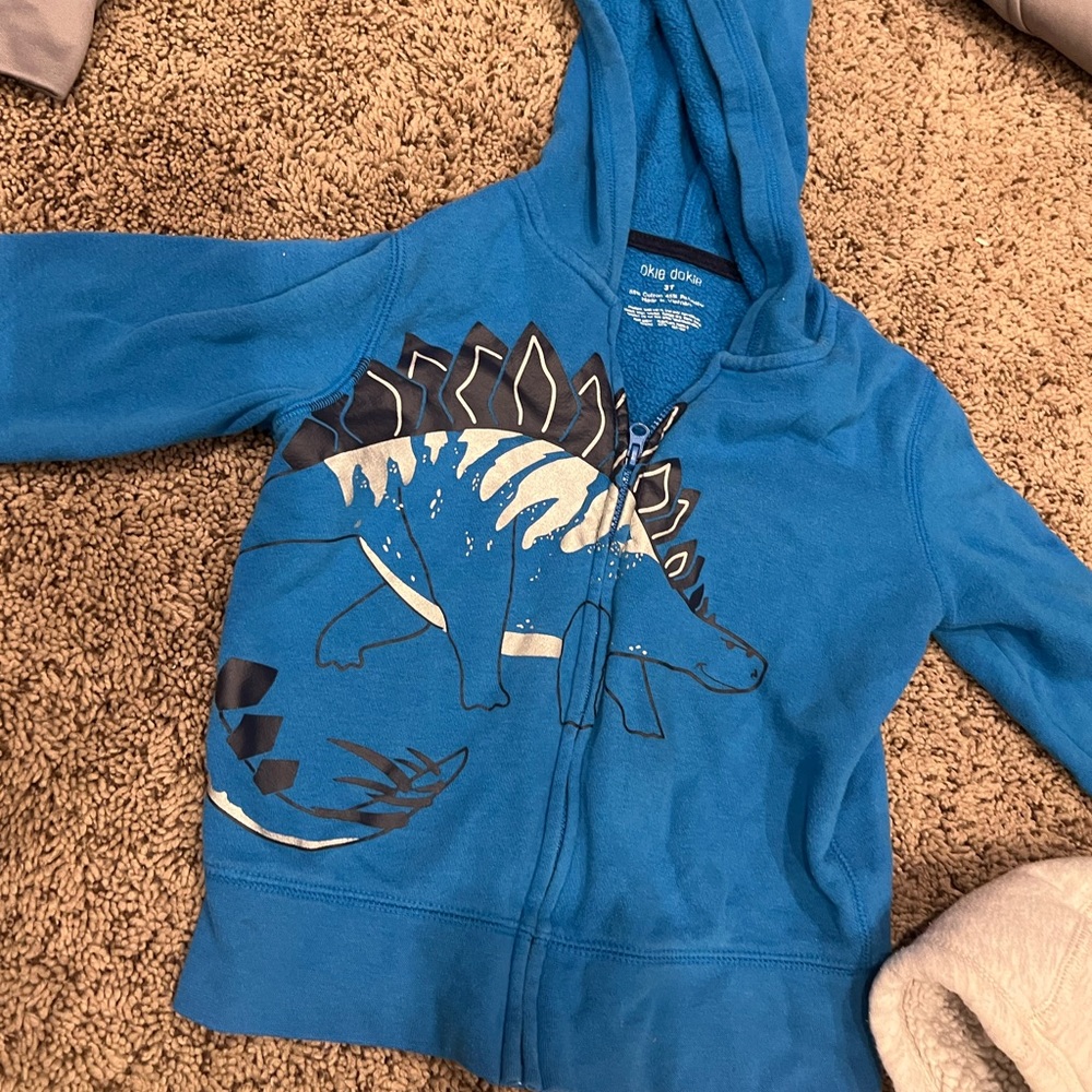 Tea Rex Sweatshirt zip up size 3 T